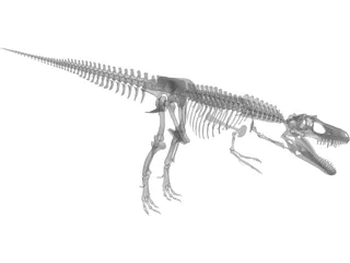 Gorgosaurus Skeleton 3D Model