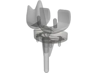 Knee 3D Model