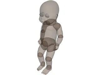 Newborn Baby 3D Model