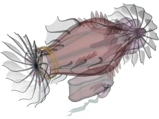 Air Veichle Fantasy 3D Model