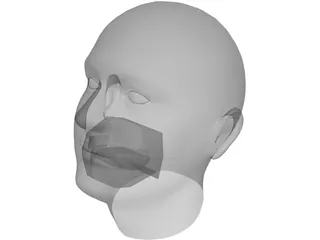 Human Head 3D Model