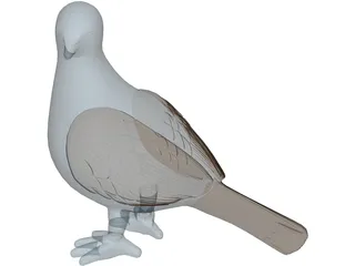 Pigeon 3D Model