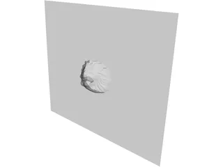 Lion Face 3D Model