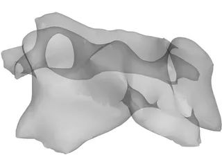 Vertebra 3D Model