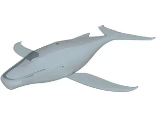 Whale Funny 3D Model