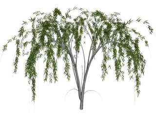 Plants 3D Models Collection